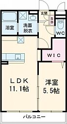 Flower Concordia 303