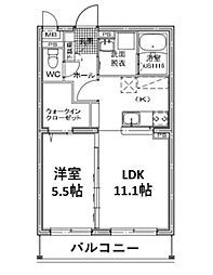 Ｆｌｏｗｅｒ　Ｃｏｎｃｏｒｄｉａ 502