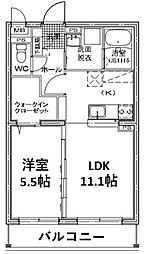 Ｆｌｏｗｅｒ　Ｃｏｎｃｏｒｄｉａ 203