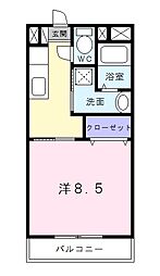 茶花 205