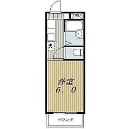 SperanzaII (スペランツァ) 501
