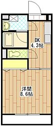 メゾンカネブン 103