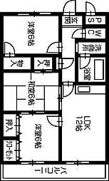アマ・デトワールI 305