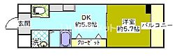 ホワイトライト 305