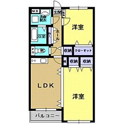 Y&M GENTRY・AYU 303