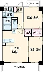 グラティ 501
