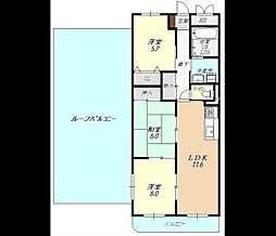 エバーグリーン21 00501