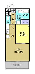 エステル 302