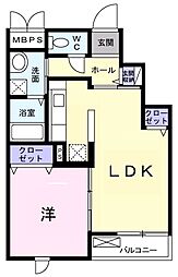 キーウィ 301