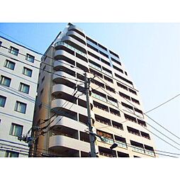 サヴォイテンジンクォーター 1503