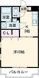 Prominent Lepidus 101