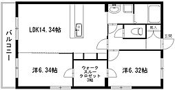 デラパーチェ 501