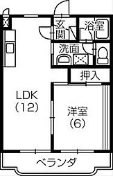 グレイス壱番館 103