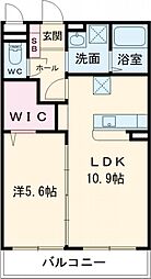 GRACIA新貝 105