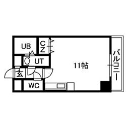 セントポーリアカルーア 1002