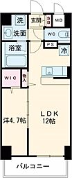 Sole Cedar 西大寺 803