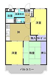 サンフラワー 1C