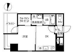 グレーシズ 0301