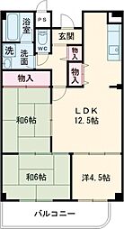 エクセレンス 203