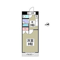 リュミエ府中 203