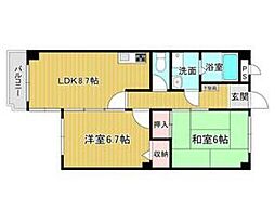 ポコアポコ住吉メゾン 201