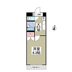 リュミエ府中 211