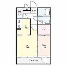 Court Akkino(コートアッキーノ) 102