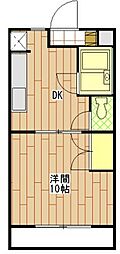 グランドキャニオン 305