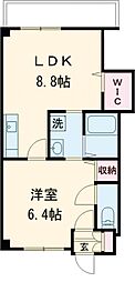 modern palazzo 文教通り 703