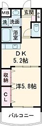 カーサ恵風 203