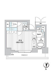 ライオンズフォーシア清澄白河 1105