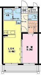 エバーグリーン 203