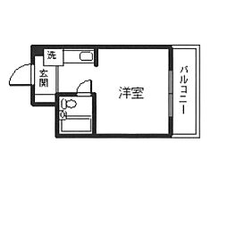 ステラ21 505