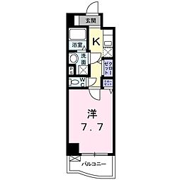 プラシード 506