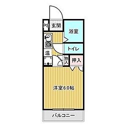 花水木 1D