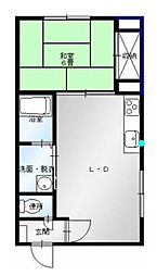 プラザ・クリプトメリア 404