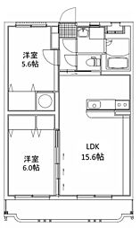 ラディアンス 303