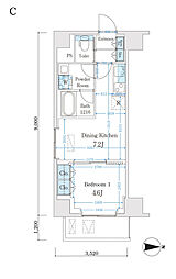 Ｃａｒｔｏｌｅｒｉａ 303