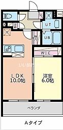 プリムラ 202