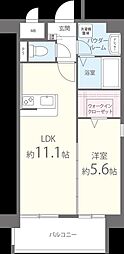 ラフレシーサ医大通り 302