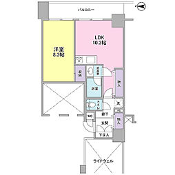 ラフィーネデュオ 0310