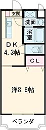カルサイト 202