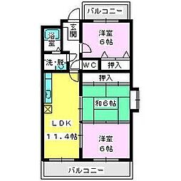 クレール・コモII 305