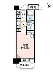 サヴォイバンヤンツリー 305