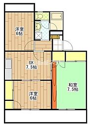 アドラシオン 201