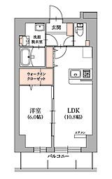 アヴィスタ 604
