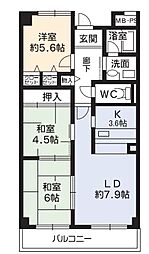 ヴィラージュ樟葉 303