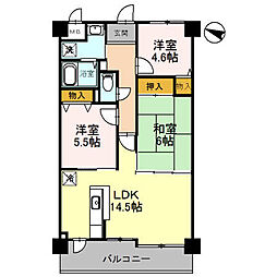 フローラ南館 507