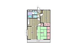 ラフェスタ深谷 304