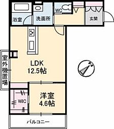 グラシア 205